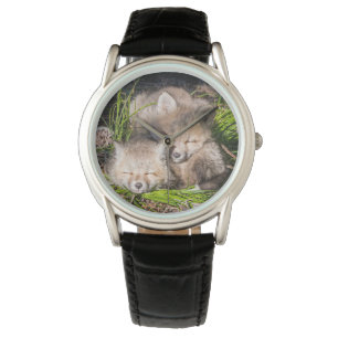 Niedliche Kleintiere Baby Red Fox Kits Schlafen Armbanduhr