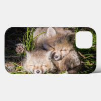 Niedliche Kleintiere | Baby Red Fox Kits Schlafen