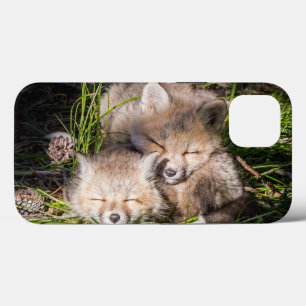 Niedliche Kleintiere   Baby Red Fox Kits Schlafen Case-Mate iPhone Hülle