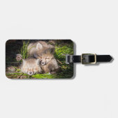 Niedliche Kleintiere | Baby Red Fox Kits Schlafen Gepäckanhänger (Vorderseite horizontal)