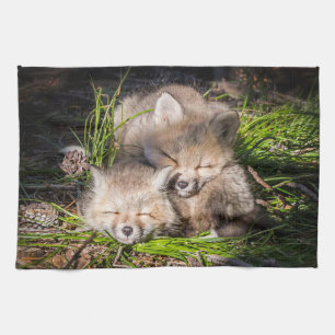 Niedliche Kleintiere   Baby Red Fox Kits Schlafen Geschirrtuch