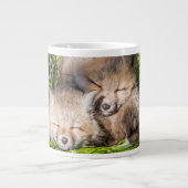 Niedliche Kleintiere | Baby Red Fox Kits Schlafen Jumbo-Tasse (Vorderseite)