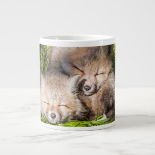 Niedliche Kleintiere Baby Red Fox Kits Schlafen Jumbo-Tasse