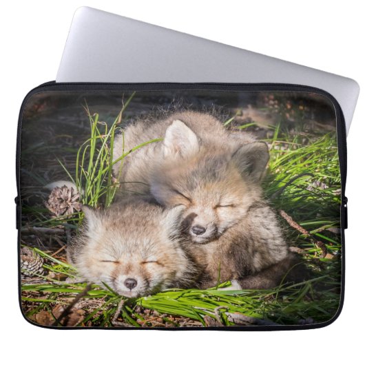 Niedliche Kleintiere | Baby Red Fox Kits Schlafen Laptopschutzhülle (Vorderseite)