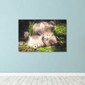 Niedliche Kleintiere | Baby Red Fox Kits Schlafen Leinwanddruck (Insitu (Holzboden))