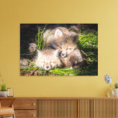 Niedliche Kleintiere | Baby Red Fox Kits Schlafen Leinwanddruck (Insitu (Wohnzimmer))