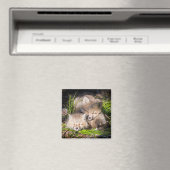 Niedliche Kleintiere | Baby Red Fox Kits Schlafen Magnet (In Situ (Geschirrspüler))
