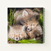 Niedliche Kleintiere | Baby Red Fox Kits Schlafen Notizblock (Rückseite)