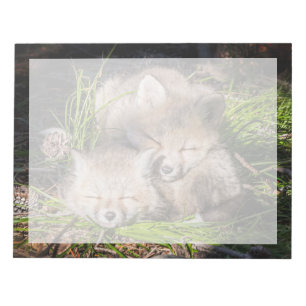 Niedliche Kleintiere Baby Red Fox Kits Schlafen Notizblock