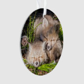 Niedliche Kleintiere | Baby Red Fox Kits Schlafen Ornament (Vorderseite)