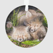 Niedliche Kleintiere | Baby Red Fox Kits Schlafen Ornament (Rückseite)