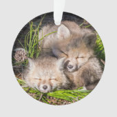 Niedliche Kleintiere | Baby Red Fox Kits Schlafen Ornament (Vorderseite)