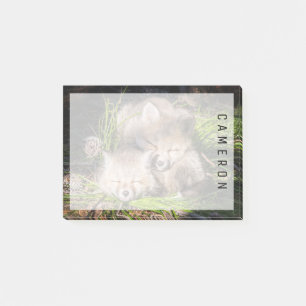 Niedliche Kleintiere Baby Red Fox Kits Schlafen Post-it Klebezettel