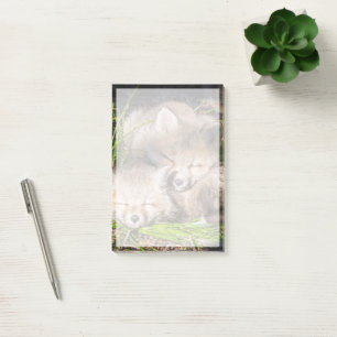 Niedliche Kleintiere Baby Red Fox Kits Schlafen Post-it Klebezettel