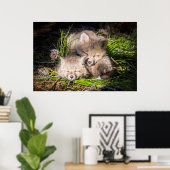 Niedliche Kleintiere | Baby Red Fox Kits Schlafen Poster (Heimbüro)