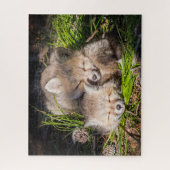 Niedliche Kleintiere | Baby Red Fox Kits Schlafen Puzzle (Vertikal)