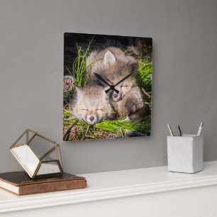 Niedliche Kleintiere   Baby Red Fox Kits Schlafen Quadratische Wanduhr
