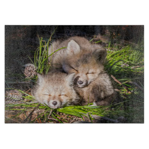 Niedliche Kleintiere   Baby Red Fox Kits Schlafen Schneidebrett