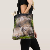 Niedliche Kleintiere | Baby Red Fox Kits Schlafen Tasche (Von Nahem)