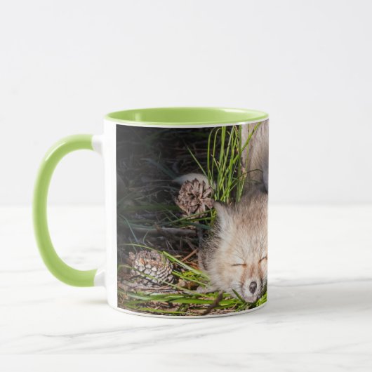 Niedliche Kleintiere | Baby Red Fox Kits Schlafen Tasse (Links)