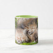 Niedliche Kleintiere | Baby Red Fox Kits Schlafen Tasse (Zentrum)