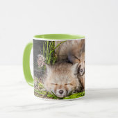 Niedliche Kleintiere | Baby Red Fox Kits Schlafen Tasse (Vorderseite Links)
