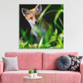 Niedliche Kleintiere | Baby Red Fox Leinwanddruck (Insitu (Wohnzimmer))