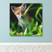 Niedliche Kleintiere | Baby Red Fox Leinwanddruck (Insitu (Holzboden))