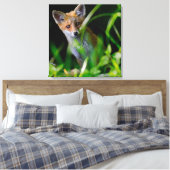 Niedliche Kleintiere | Baby Red Fox Leinwanddruck (Insitu (Schlafzimmer))
