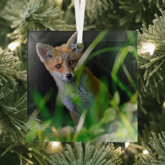 Niedliche Kleintiere | Baby Red Fox Ornament Aus Glas (Insitu)