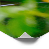 Niedliche Kleintiere | Baby Red Fox Poster (Ecke)