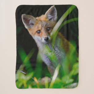 Niedliche Kleintiere Baby Red Fox Sherpadecke