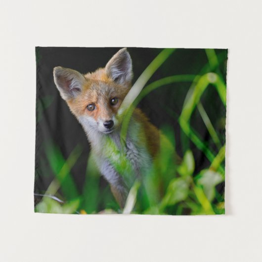 Niedliche Kleintiere | Baby Red Fox Wandteppich (Vorderseite (Horizontal))