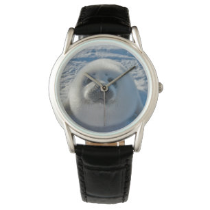 Niedliche Kleintiere   Baby-Siegel Armbanduhr