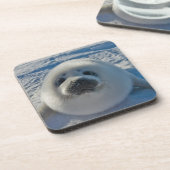 Niedliche Kleintiere | Baby-Siegel Getränkeuntersetzer (Linke Seite)