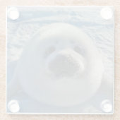 Niedliche Kleintiere | Baby-Siegel Glasuntersetzer (Rückseite)