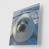 Niedliche Kleintiere | Baby-Siegel Quadratische Wanduhr (Winkel)