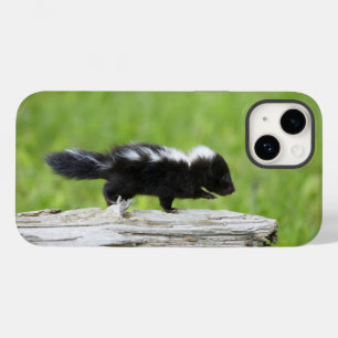 Niedliche Kleintiere   Baby Skunk Case-Mate iPhone 14 Hülle