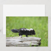 Niedliche Kleintiere | Baby Skunk Dankeskarte (Vorne/Hinten)