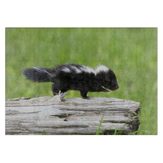 Niedliche Kleintiere | Baby Skunk Schneidebrett (Vorderseite)