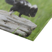 Niedliche Kleintiere | Baby Skunk Schneidebrett (Ecke)