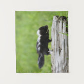 Niedliche Kleintiere | Baby Skunk Wandteppich (Vorderseite)