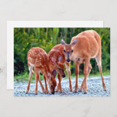 Niedliche Kleintiere | Babygewächse Dankeskarte (Vorne/Hinten)