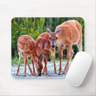 Niedliche Kleintiere   Babygewächse Mousepad