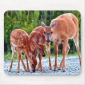 Niedliche Kleintiere | Babygewächse Mousepad (Vorne)