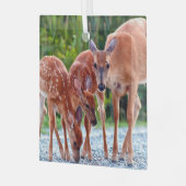 Niedliche Kleintiere | Babygewächse Ornament Aus Glas (Vorderseite links)