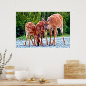 Niedliche Kleintiere | Babygewächse Poster (Küche)