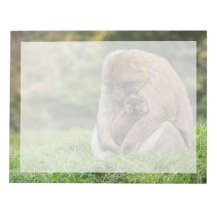 Niedliche Kleintiere Barbary Macaque Family Notizblock