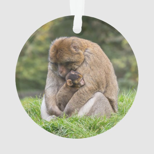 Niedliche Kleintiere | Barbary Macaque Family Ornament (Rückseite)