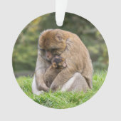 Niedliche Kleintiere | Barbary Macaque Family Ornament (Vorderseite)